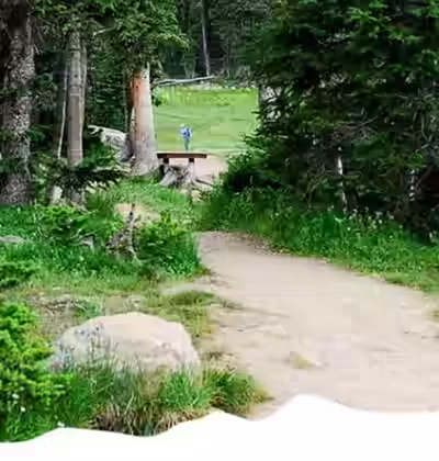 Mountain landscape